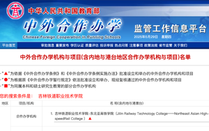 与教育部备案数据“打架”：4 所双高校年报中外合作办学数据分析